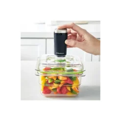 FOODSAVER Machine Sous Vide|Appareil de Mise Sous Vide Sans Fil