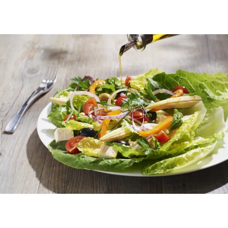 REVOL Vaisselle|Assiette Plate Porcelaine 26cm Alaska French Classique