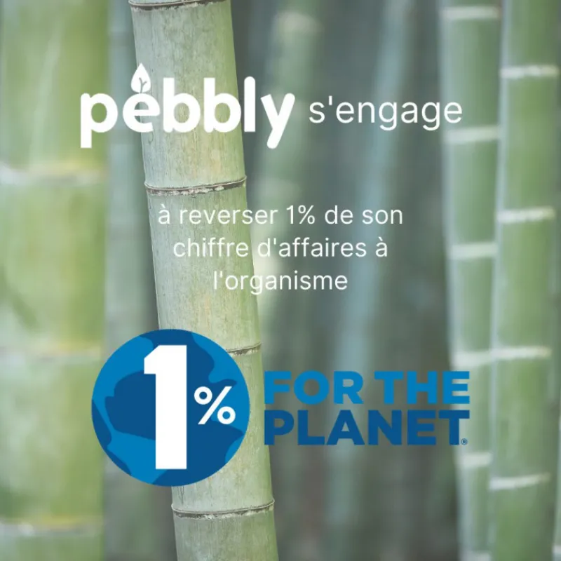 PEBBLY Plat De Cuisson|Conservation|Boîte de Conservation en Verre avec Compartiments Rectangle 1450 ml