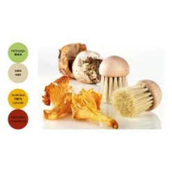 YOOCOOK Eplucheurs, Dénoyauteur|Brosse à champignons 4 cm