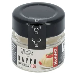 PATISDECOR Produits Sans Gluten|Additifs Alimentaires|Carraghénanes Kappa 10 g Patisdécor
