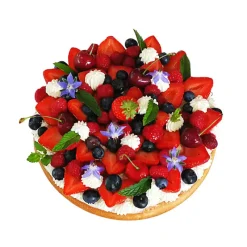 DE BUYER Cercle À Patisserie|Cercle Pâtisserie Réglable Inox Ø18 à 36 cm H.3 cm