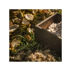 VALRHONA Chocolat De Couverture|Chocolat de Couverture Noir Manjari 64% 250g