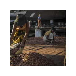 VALRHONA Produits Bio|Chocolat De Couverture|Chocolat de Couverture Noir Millot 74% Bio 250g