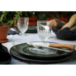 OPINEL Couverts|Coffret 4 Couteaux de Table Olivier Facette