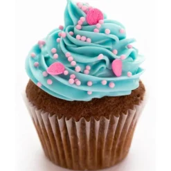 SCRAPCOOKING Colorants Alimentaires|Colorant Alimentaire en Poudre Bleu 5g