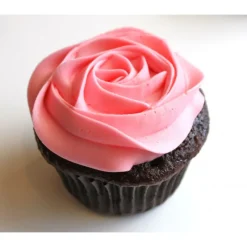 SCRAPCOOKING Colorants Alimentaires|Colorant Alimentaire en Poudre Rose 5g