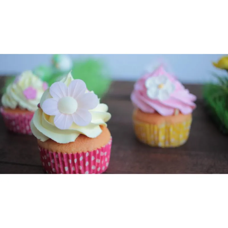 SCRAPCOOKING Colorants Alimentaires|Color'Arôme Jaune / Citron 10g