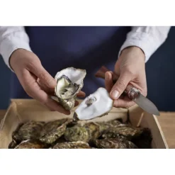 OPINEL Couteau À Poisson|Couteau à Huîtres N°9