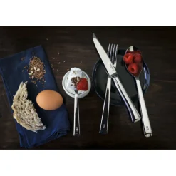 OPINEL Couverts|Couteau de Table en Inox Perpétue