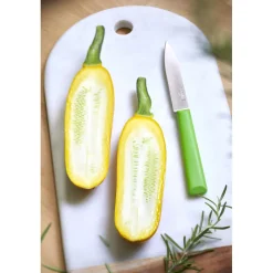 OPINEL Couteau D'office|Couteau d'Office N°312 Vert Les Essentiels +