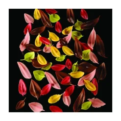 PAVONI Ustensiles Chocolat|Couteau Inox Feuille Large 6 x 4,4 cm Flychoc