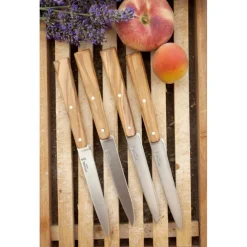 OPINEL Couverts|Couteaux de Table (x4) Sud Bon Appétit !