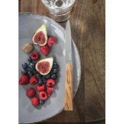 OPINEL Couverts|Couteaux de Table (x4) Sud Bon Appétit !