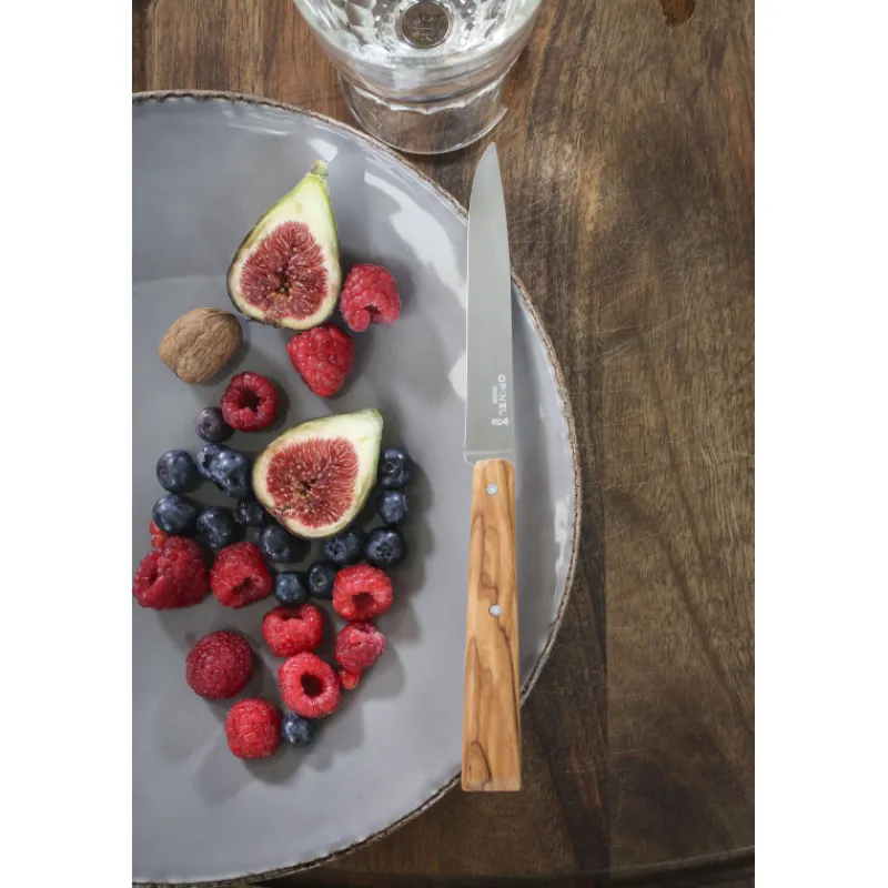 OPINEL Couverts|Couteaux de Table (x4) Sud Bon Appétit !