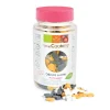 SCRAPCOOKING Décoration Comestible|Décors en sucre Halloween 50 g