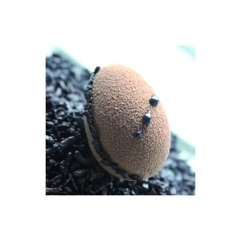 FLEXIPAN Moule Silicone|Demi-Oeufs - Moule silicone