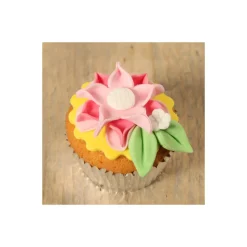 FMM Emporte Pièce - Découpoir Pâtisserie|Emporte Pièce Spécial Cupcake double cotés Fleur