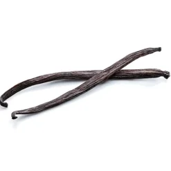 PATISDECOR Arômes Alimentaires|Extrait de Vanille 50ml Patisdécor