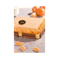 FLEXIPAN Moule Silicone|FIN DE SERIE Carré - Moule silicone