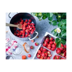 GREENPAN Faitout|FIN DE SERIE Faitout Induction Ø 20 cm Collection BARCELONA EVERSHINE