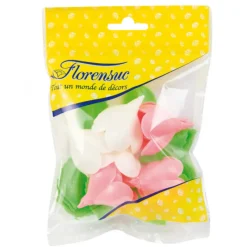 FLORENSUC Décoration Comestible|Fleurs de rose blanches et roses x6, grandes feuilles x12 - en Azyme