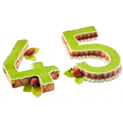 MALLARD FERRIERE Cercle À Patisserie|Emporte Pièce - Découpoir Pâtisserie|Grand Emporte Pièce Inox Chiffre 6 ou 9 32x18 cm (x1)