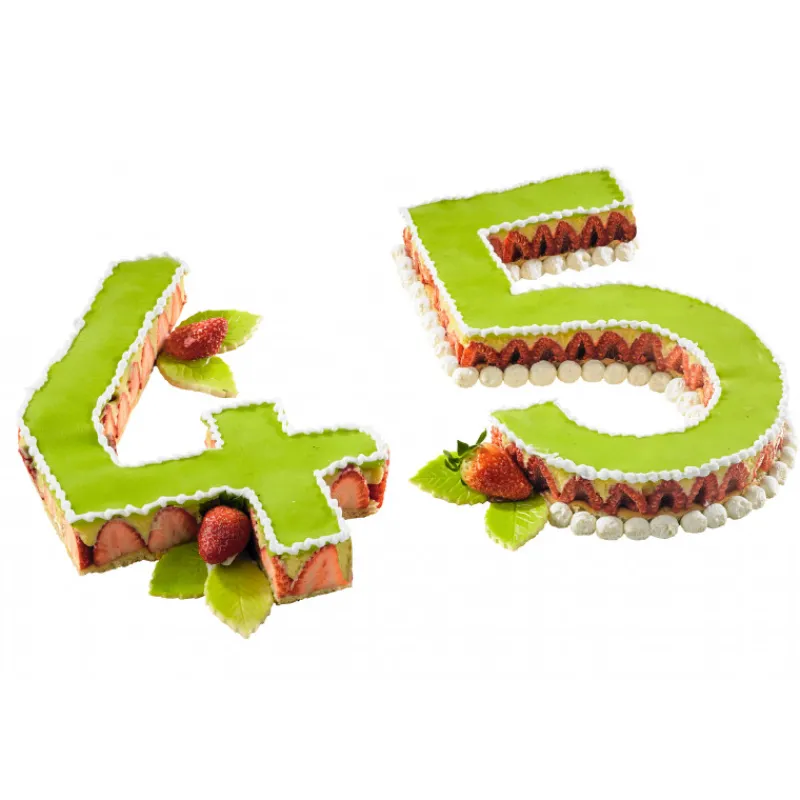 MALLARD FERRIERE Cercle À Patisserie|Emporte Pièce - Découpoir Pâtisserie|Grand Emporte Pièce Inox Chiffre 6 ou 9 32x18 cm (x1)