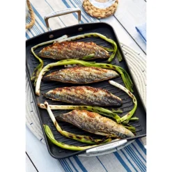 LE CREUSET Grills|Grill géantanti-adhérant 34 x 25 cm