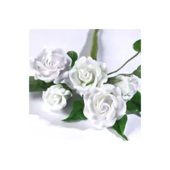 RENSHAW Pâte À Sucre|Gum Paste Blanc 250 g