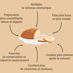 PATISDECOR Levures|Levain de seigle et levure 150 g Patisdécor