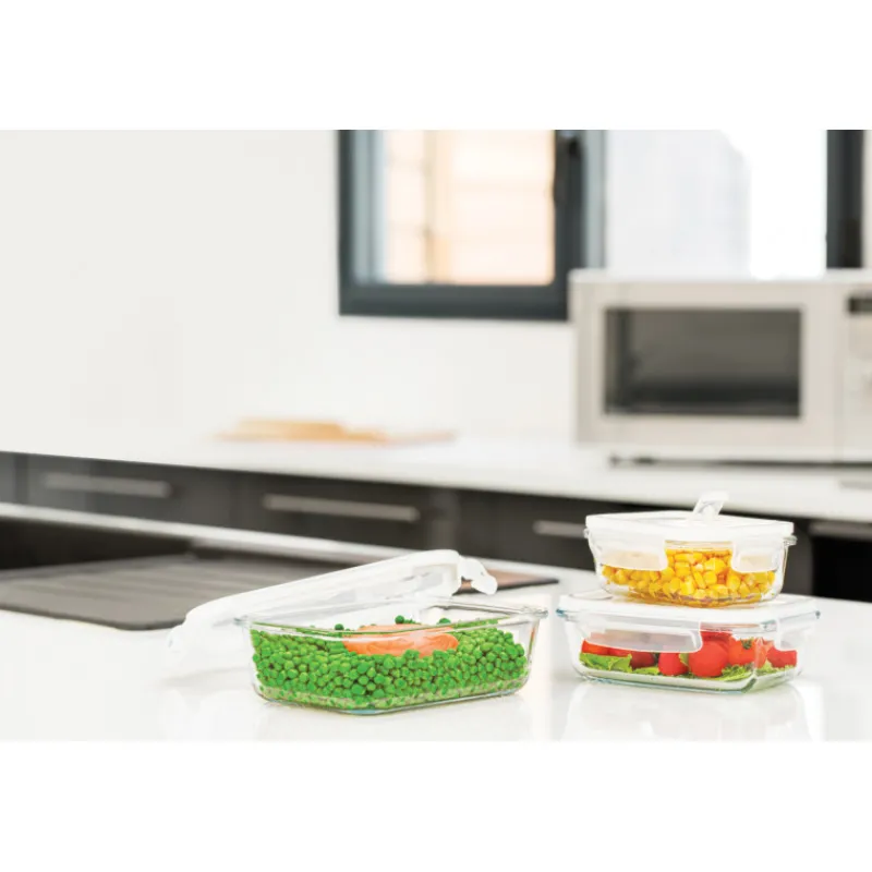 PEBBLY Plat De Cuisson|Conservation|Lot 3 Boîtes de Conservation en Verre Rectangle