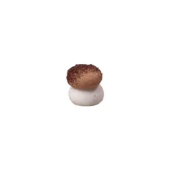 FLORENSUC Décoration Comestible|Mini Champignon en Sucre Beige 12 x 10 mm (x384)