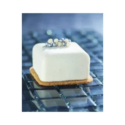 FLEXIPAN Moule Silicone|Mini Ecrin - Moule silicone