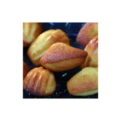 FLEXIPAN Moule Silicone|Moules À Gâteaux|Mini-Madeleines - Moule silicone