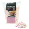 PATISDECOR Confiserie|Mini-Marshmallows 100 g Patisdécor