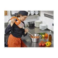 DYNAMIC Préparation|Mixeur Plongeant|Mixeur Plongeant Master DMX 410.H