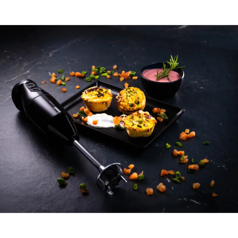 BAMIX Mixeur Plongeant|Mixeur Plongeant Sans Fil Cordless Noir