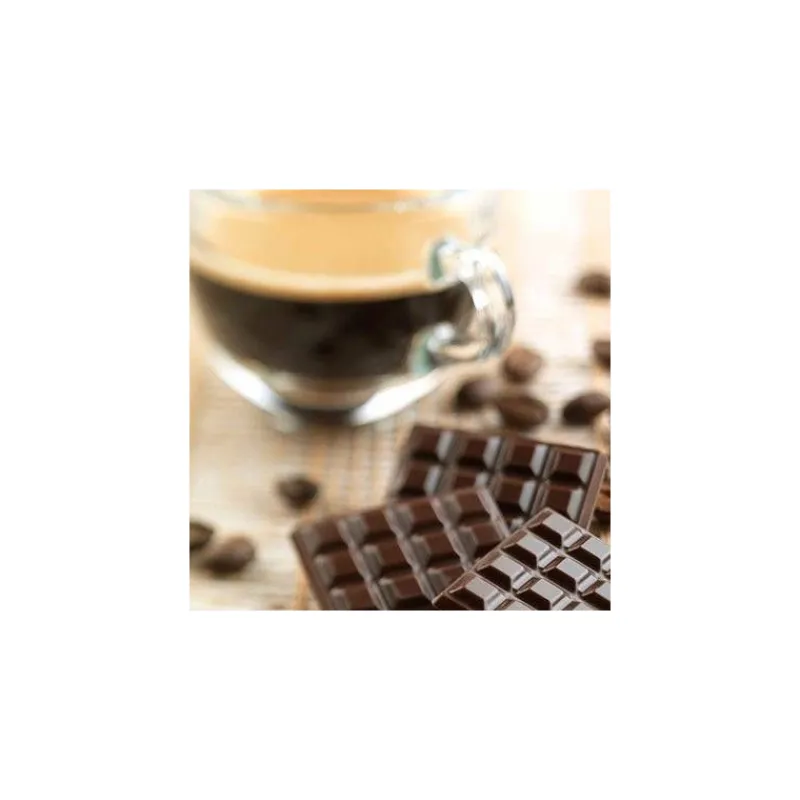 EASY CHOC Moules À Chocolat|Moule Silicone|Moule à Chocolat 12 Mini Tablettes - Silicone Spécial Chocolat