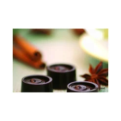 EASY CHOC Moules À Chocolat|Moule Silicone|Moule à Chocolat 15 Ronds - Silicone Spécial Chocolat