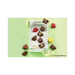 EASY CHOC Moules À Chocolat|Moule Silicone|Moule à Chocolat 15 Sujets Spring Life - Silicone Spécial Chocolat