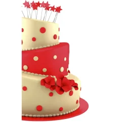 IBILI Moules À Gâteaux|Moule à Gâteau Rond Incliné Ø 21,5 cm x H 10 cm