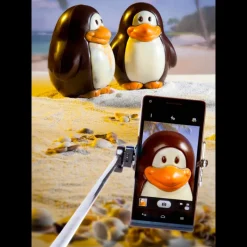 CHOCOLATE WORLD Moules À Chocolat|Moule Chocolat Aimanté Pingouin 15 cm