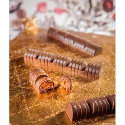 CHOCOLATE WORLD Moules À Chocolat|Moule Chocolat Barre Gourmande (x9)