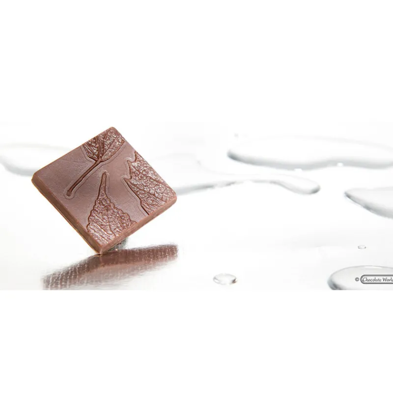 CHOCOLATE WORLD Moules À Chocolat|Moule Chocolat Carré avec Feuille (x10)