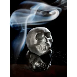 CHOCOLATE WORLD Moules À Chocolat|Moule Chocolat Crâne (x24)