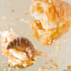 CHOCOLATE WORLD Moules À Chocolat|Moule Chocolat Croissant 48 mm (x14)