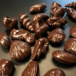 CHOCOLATE WORLD Moules À Chocolat|Moule Chocolat Diamond of the Sea (x22)