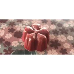 CHOCOLATE WORLD Moules À Chocolat|Moule Chocolat Fleur de Cerisier Sakura Kohei Ogata (x21)