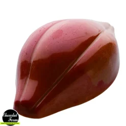 Chocolat Form Moules À Chocolat|Moule Chocolat Fève Cacao 47,5 mm (x24)